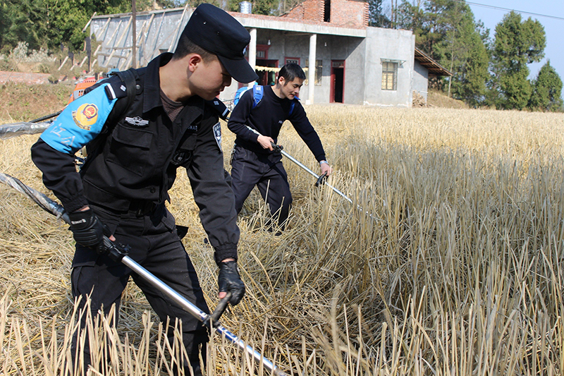 【脱贫攻坚在行动】南江百余民警放下“钢枪”拿锄头 下到田间地头开展主题党日活动（图）