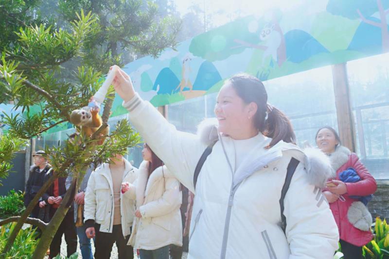 雨城区2019年春节假日旅游兴盛迎来猪年