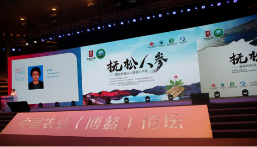 2018中国农业(博鳌)论坛开幕,“抚松人参”品牌推介取得丰硕成果