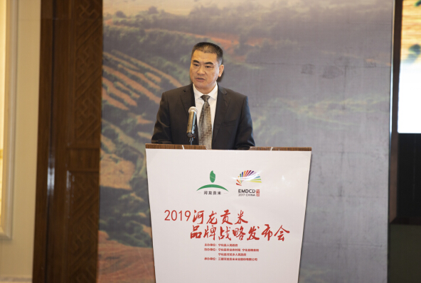 2019宁化河龙贡米品牌战略发布会在福州举行