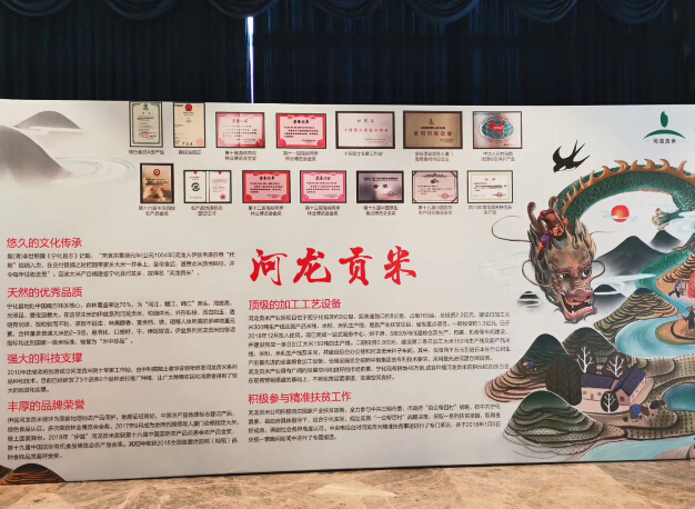 2019宁化河龙贡米品牌战略发布会在福州举行